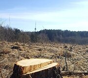 I&scaron;kirsta Sudervės upelio pakrantė