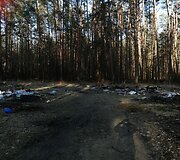 &Scaron;iuk&scaron;lės netoli Juod&scaron;ilių