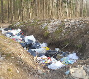 &Scaron;iuk&scaron;lės netoli Salininkų
