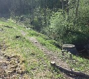 Karolini&scaron;kių lietaus nuotekų valykloje &scaron;uliniai skubiai uždengti