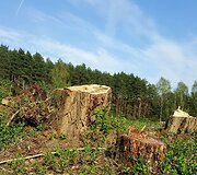 Karolini&scaron;kių lietaus nuotekų valykla