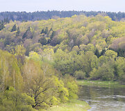 Punia ir jos piliakalnis