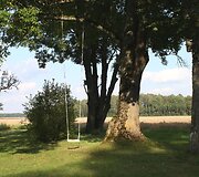 Paragių dvaras &ndash; Lazdynų Pelėdos muziejus