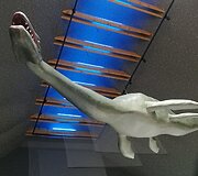 Ventos regioninio parko Lankytojų centre