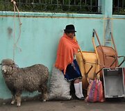 Turguje