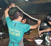 Valgydami gyvatę retsykiais gurk&scaron;telkite degtinės ar vandens su gyvačių krauju. Tai jums suteiks adrenalino ir energijos