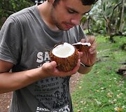 Renkam kokosus