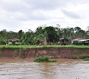 Pakeliui link Peru. Amazonės pakrantės