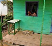Brazilijos džiunglių miestukas