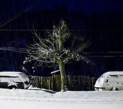 Neįprastai stipriai apsnigtas Boržomis
