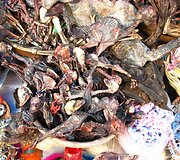Bolivijos auk&scaron;tikalnių gyventojai kiekviena pasitaikiusia svarbesne proga atlieka aukojimo ritualą, todėl miestuose klesti turgūs, kur parduodami &scaron;iems ritualams reikalingi dalykai &ndash; alkoholis, lamų embrionai, žolės ir kita.