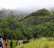 Kopėm į kalną Diamond Head pasigrožėti vaizdais.
