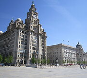 Liverpulis