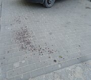 Tel&scaron;iuose sunkiai apgirtusi vairuotoja sužalojo du žmones