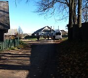 Mikni&scaron;kės-Michnovo stačiatikių bendruomenė, genamos karvės