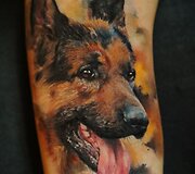 Domanto Parvainio tatuiruotės