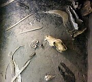 Kernavė lankytojams ruo&scaron;ia staigmeną - muziejų po atviru dangumi