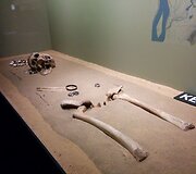Kernavė lankytojams ruo&scaron;ia staigmeną - muziejų po atviru dangumi