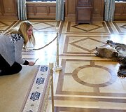 Jurgita Lapienytė Nesvyžiaus pilyje ie&scaron;ko geriausio rakurso lokio kailiui nufotografuoti