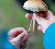 Lauko darželio Vilniuje auklėtiniai dienas leidžia gamtos apsuptyje