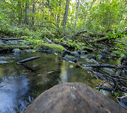 Skrebio mi&scaron;ko pažintinis pėsčiųjų takas