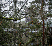 Medžių lajų tako kompleksas