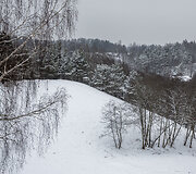 Ribi&scaron;kių kalvynas su pievų bendrijomis