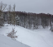 Ribi&scaron;kių kalvynas su pievų bendrijomis