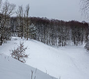 Ribi&scaron;kių kalvynas su pievų bendrijomis