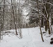 Ribi&scaron;kių pėsčiųjų trasa