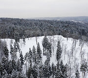 Rokanti&scaron;kių piliavietė