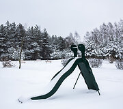 Birbynių regykla