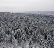 Pavilnių regioninis parkas