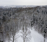 Rokanti&scaron;kių piliavietė