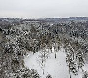 Pūčkorių piliakalnis