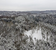 Pūčkorių piliakalnis