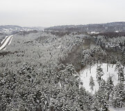 Pūčkorių piliakalnis