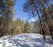 Grybi&scaron;kių kalva