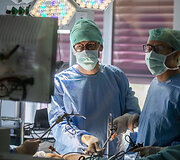 Inksto transplantacija i&scaron; gyvojo donoro