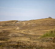 Pilkosios kopos Naglių rezervatas