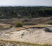 Pilkosios kopos Naglių rezervatas