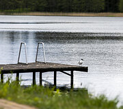 Molėtai