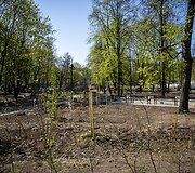 Baiginėjami Reformatų parko atnaujinimo darbai