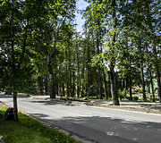Lentvario Klevų alėja