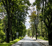 Lentvario Klevų alėja