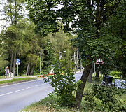 Lentvario Klevų alėja