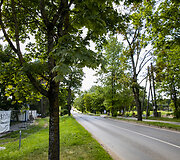 Lentvario Klevų alėja