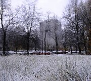 Pirmas sniegas Vilniuje
