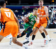 Marius Grigonis
