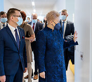 Dalia Grybauskaitė, Arūnas Dulkys